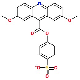 MC085249 4-(2,7-Dimethoxy-acridine-9-carbonyloxy)-benzenesulfonic acid anion (image for) MC085249 4-(2,7-Dimethoxy-acridine-9-carbonyloxy)-benzenesulfonic acid anion